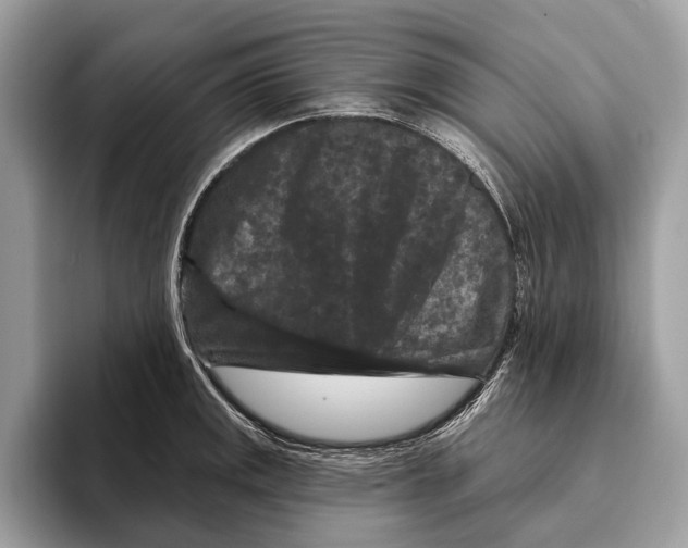 X0000095531141200801111408