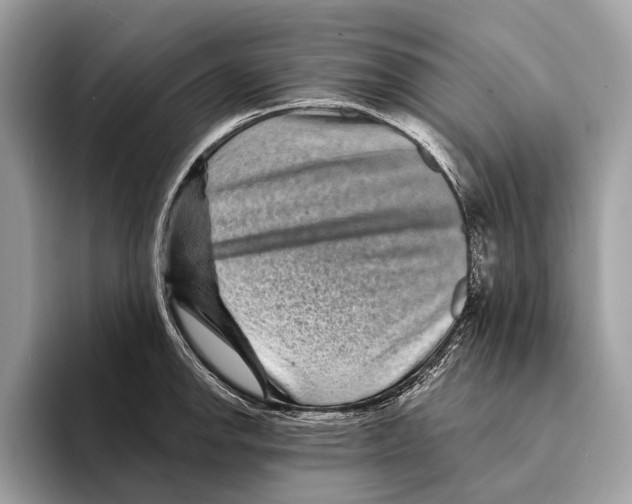 X0000095531142200801111408