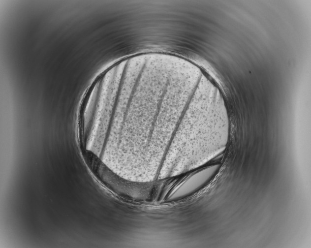 X0000095531143200801111408