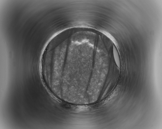 X0000095531144200801111408