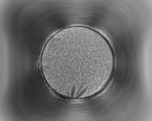 X0000095531145200801111408