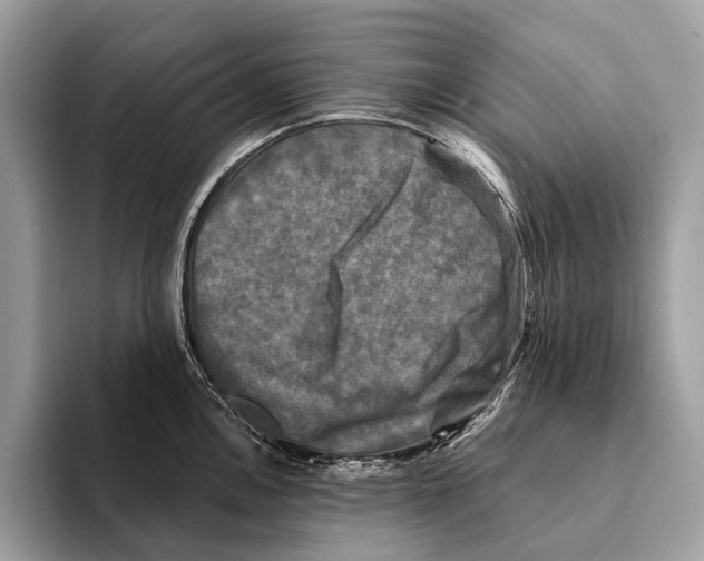 X0000095531146200801111408