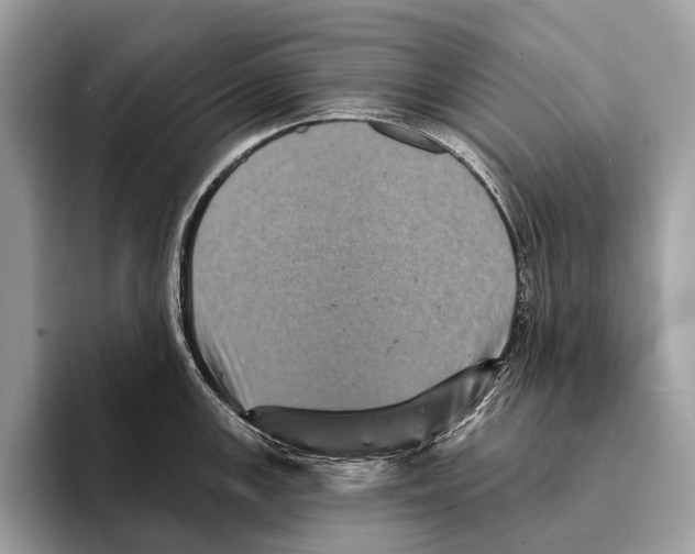 X0000095531147200801111408