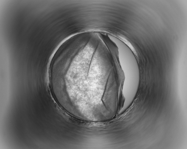 X0000095531148200801111408