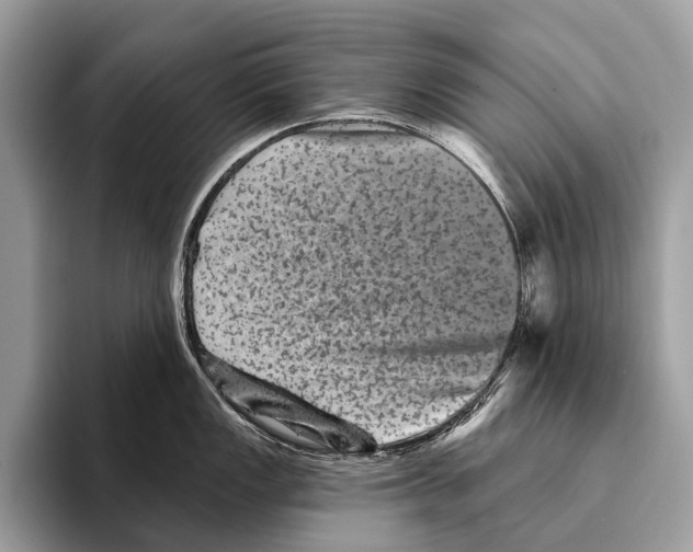 X0000095531149200801111408