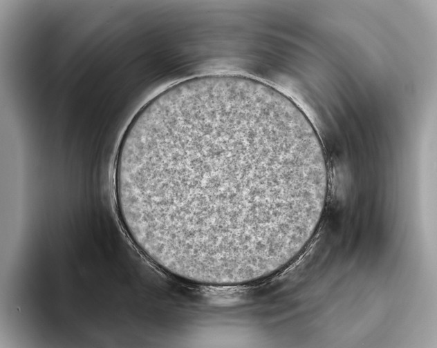 X0000095531150200801111408