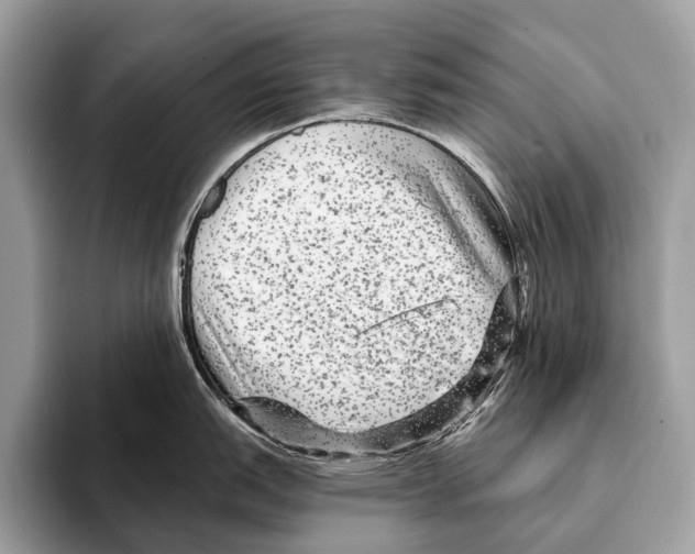 X0000095531151200801111408