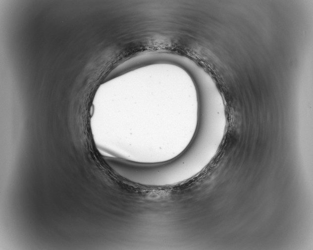 X0000095531153200801111407