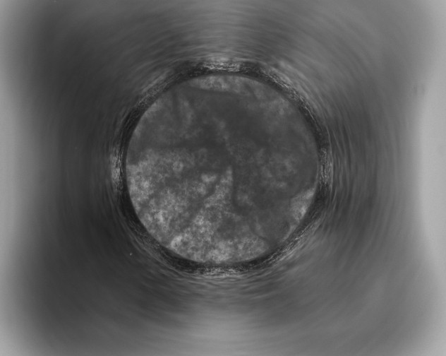 X0000095531154200801111407