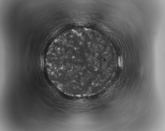 X0000095531155200801111407