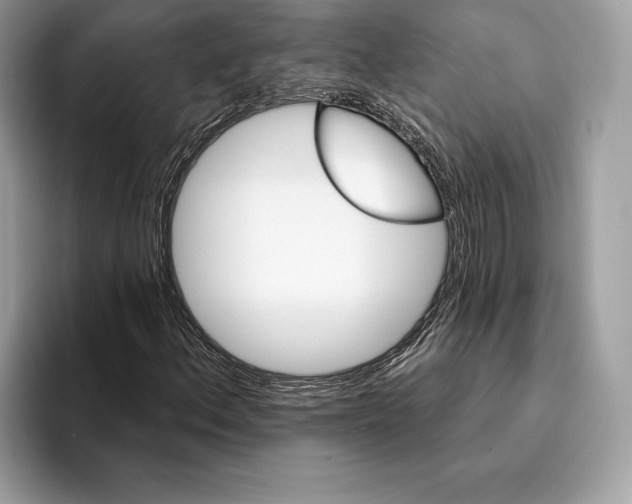 X0000095531156200801111407