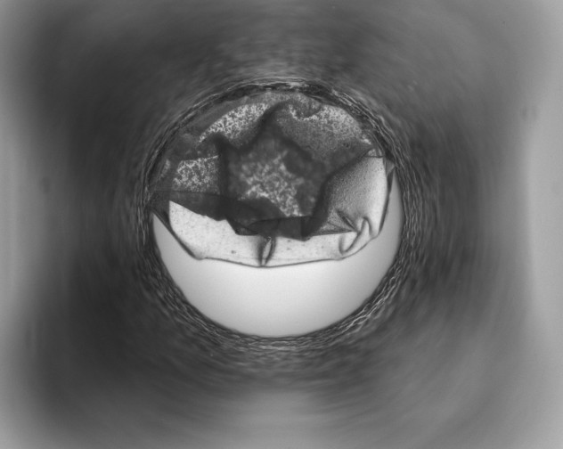 X0000095531157200801111407