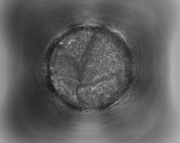 X0000095531159200801111407