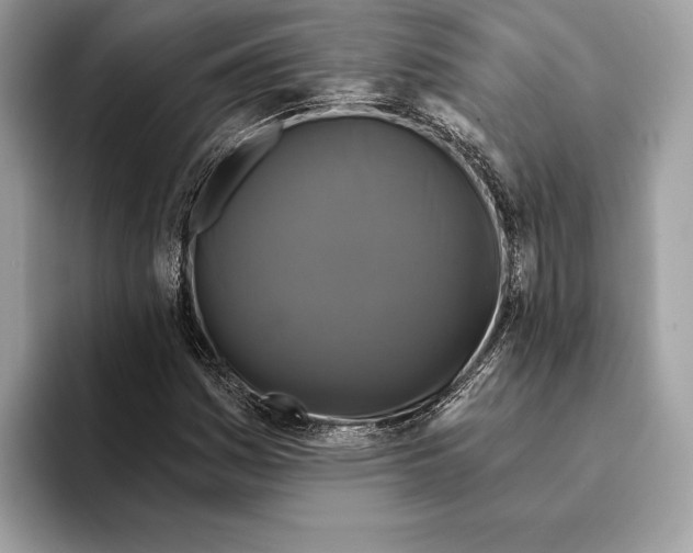 X0000095531161200801111407