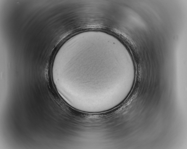 X0000095531162200801111407