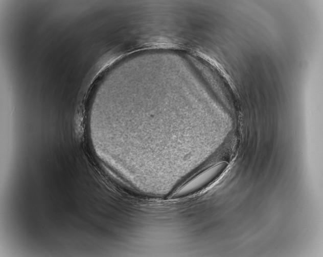 X0000095531163200801111407