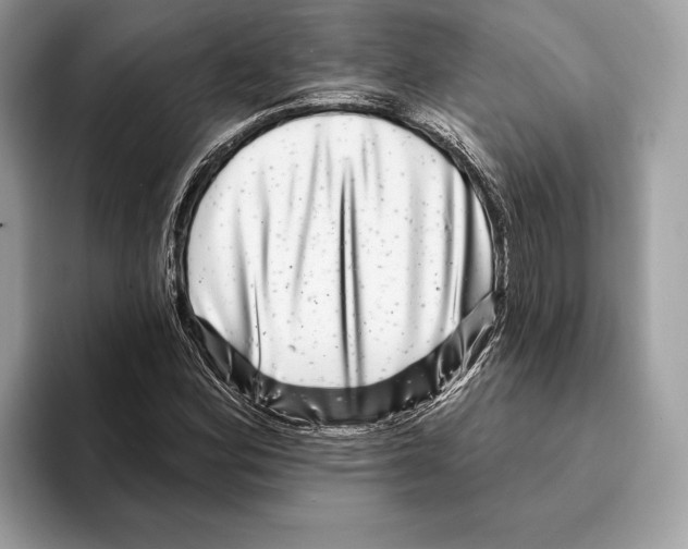 X0000095531164200801111407