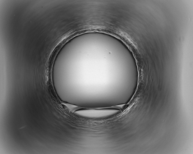 X0000095531165200801111407