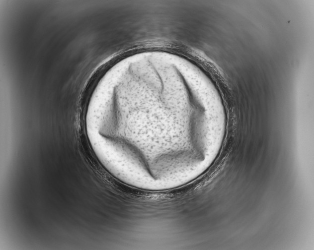 X0000095531166200801111407