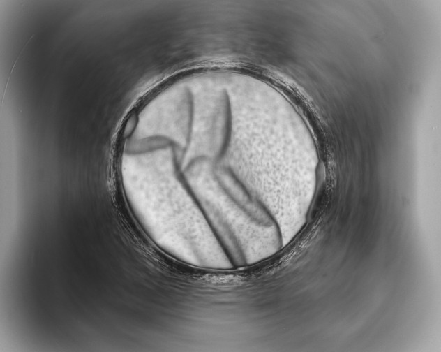 X0000095531168200801111407