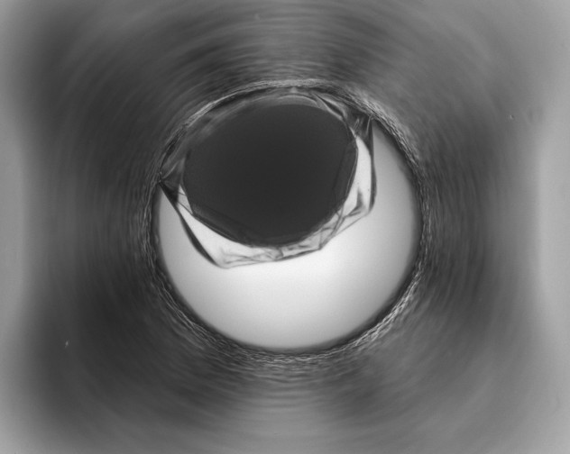 X0000095531169200801111407