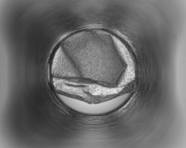 X0000095531171200801111407