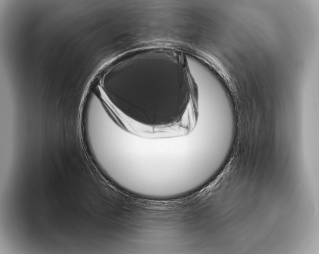 X0000095531172200801111407