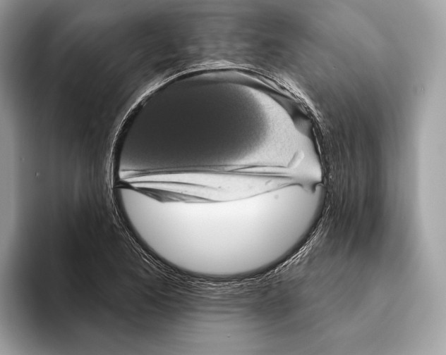 X0000095531173200801111407