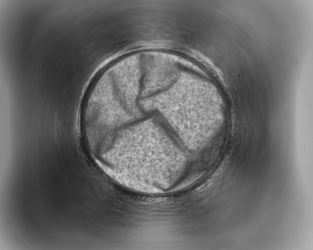 X0000095531174200801111407