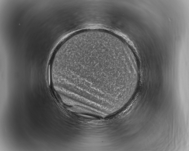 X0000095531175200801111407