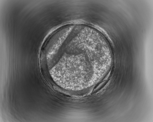 X0000095531176200801111407