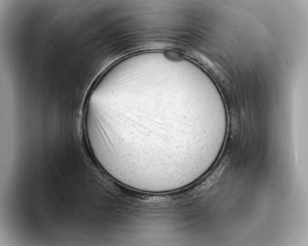 X0000095531178200801111407