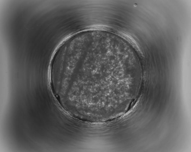 X0000095531180200801111407