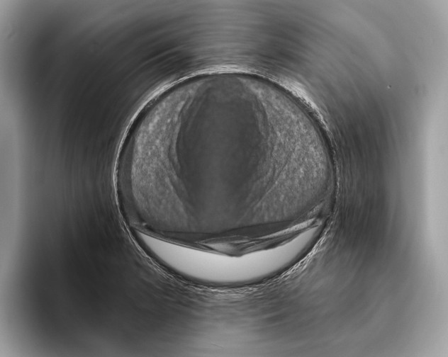 X0000095531181200801111407