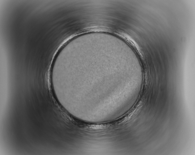 X0000095531182200801111407