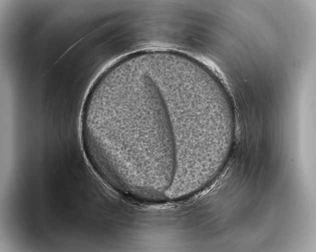 X0000095531183200801111407