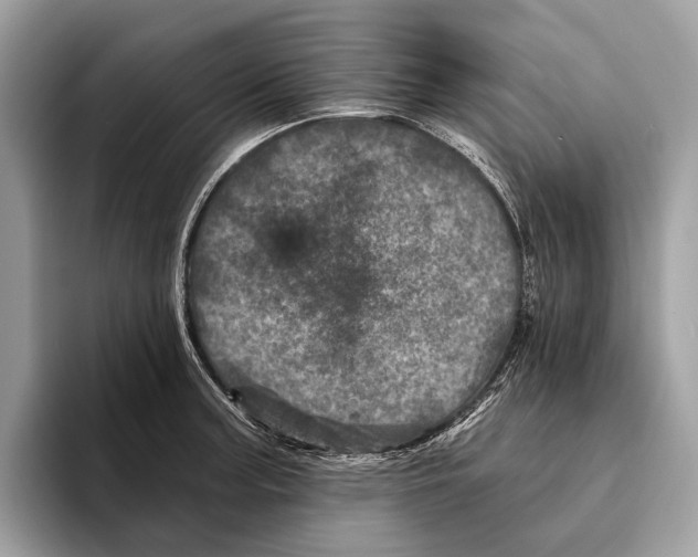 X0000095531187200801111407