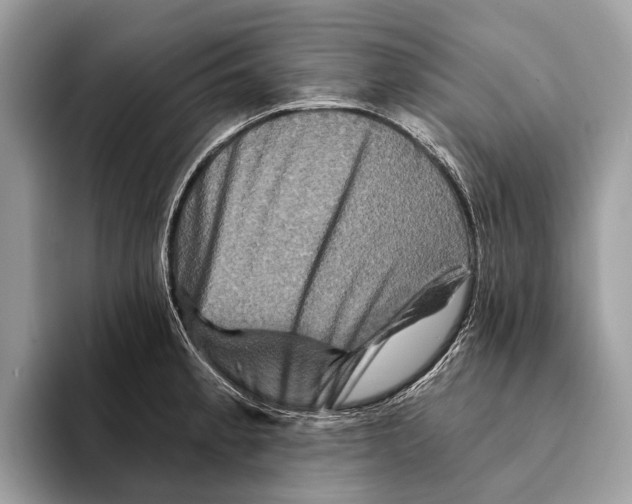 X0000095531189200801111407