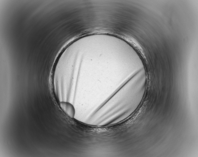 X0000095531190200801111407