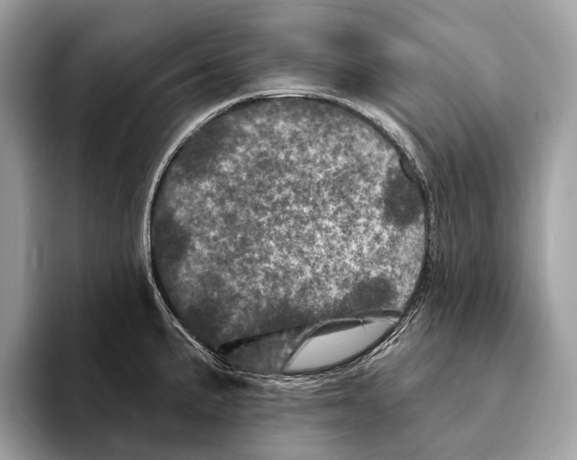 X0000095531191200801111407