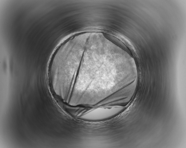 X0000095531192200801111407