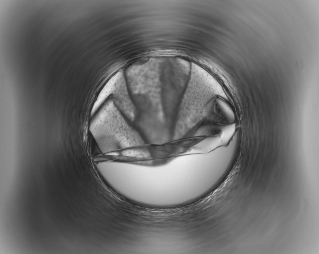 X0000095531193200801111407