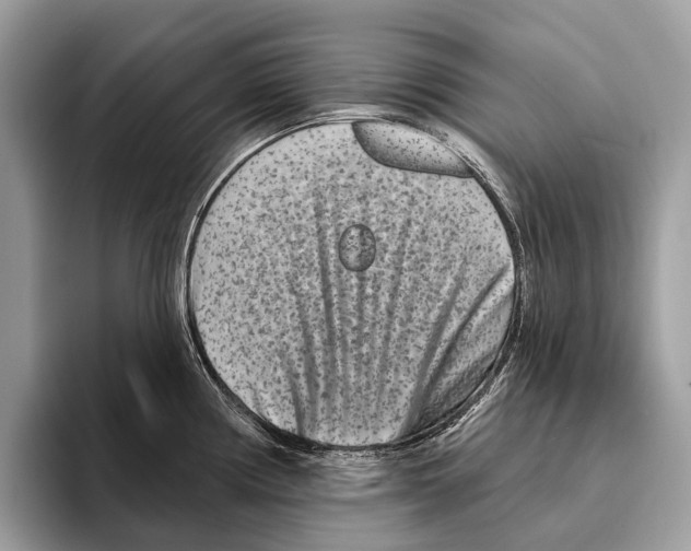 X0000095531194200801111407