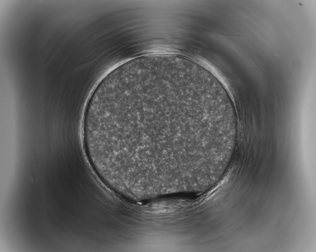 X0000095531195200801111407