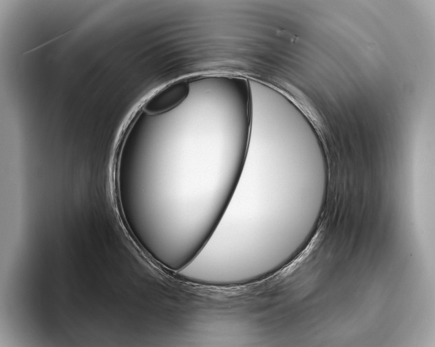 X0000095531196200801111407