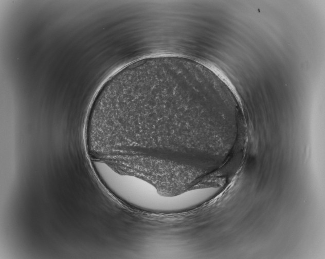 X0000095531197200801111407