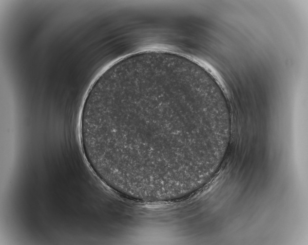 X0000095531199200801111407