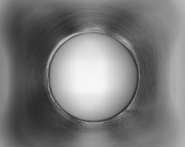 X0000095531200200801111407