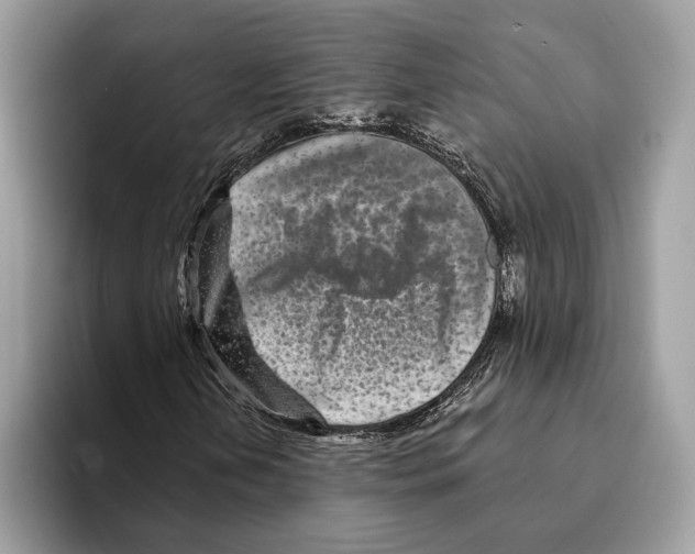 X0000095531202200801111406