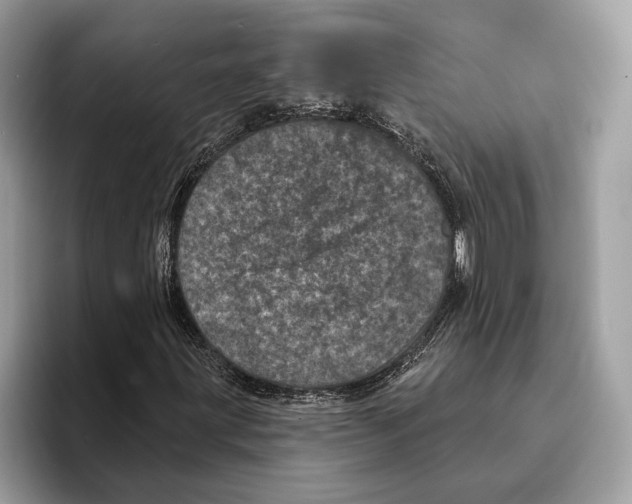 X0000095531203200801111406